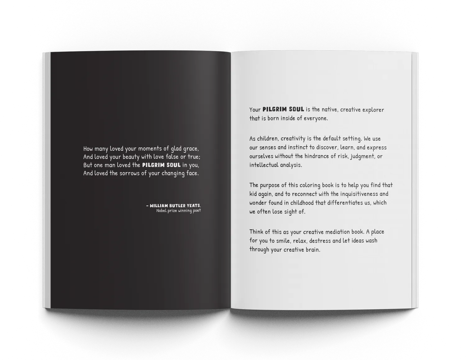 Coloring Book Vol 1   Creative Thinking Journal Vol 2   Pencil Set