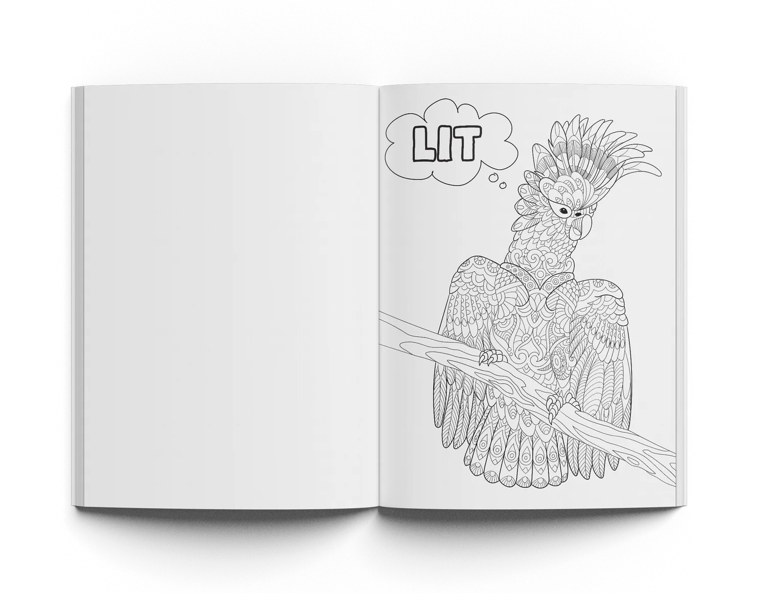 Coloring Book Vol 1   Creative Thinking Journal Vol 2   Pencil Set