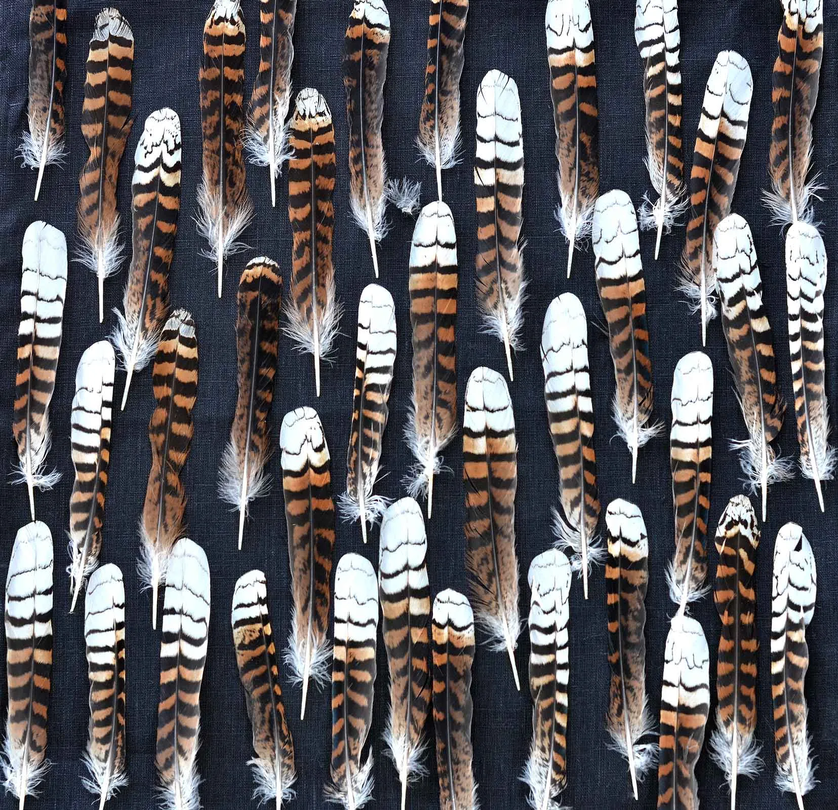 Fabric Organic Cotton Voile by the metre
